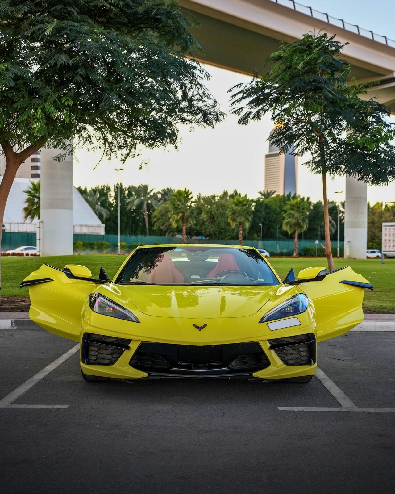 Chevrolet Corvette photo 3