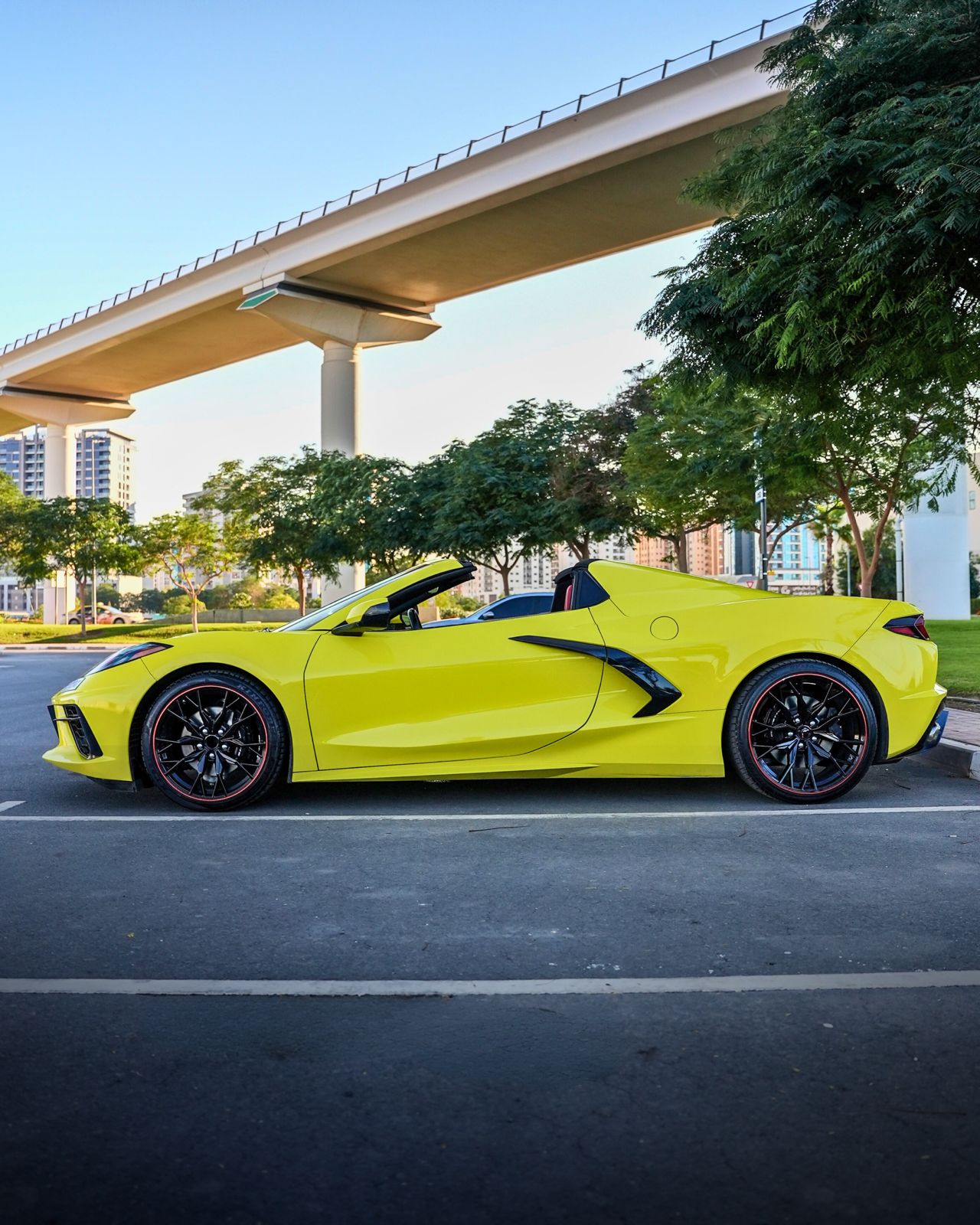 Chevrolet Corvette photo 6